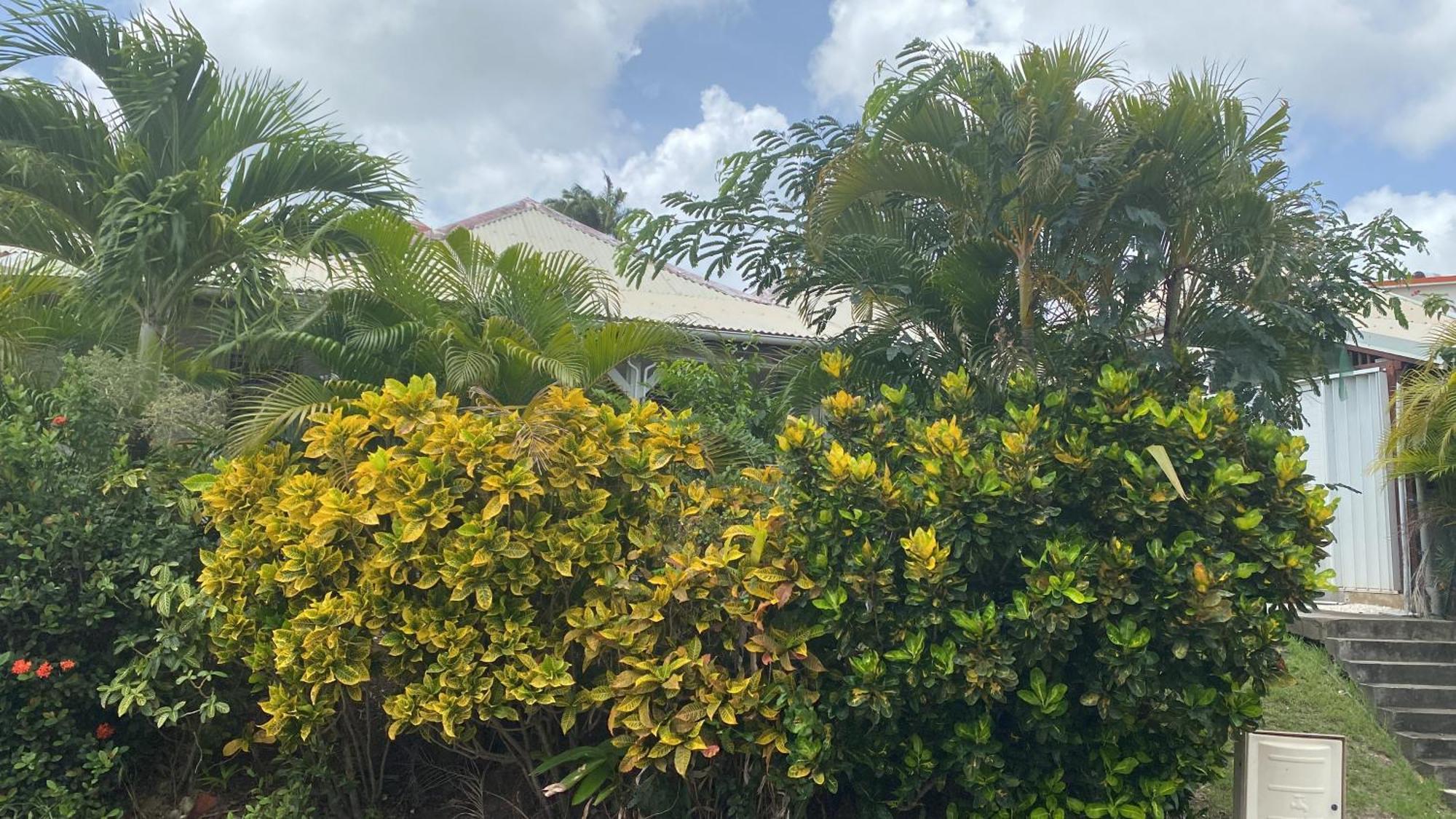 Bungalow Belfond Plage Pointe Marin Sainte-Anne Exterior foto